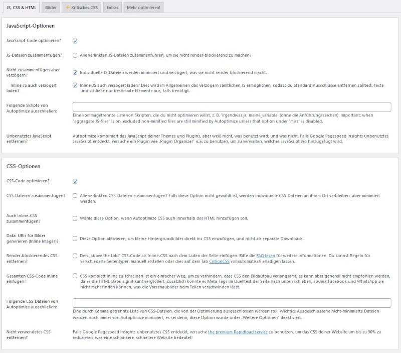 PageSpeed verbessern - durch diese 20 Maßnahmen optimierst du die Ladezeit! 20 Autoptimmize CSS und JavaScript Einstellungen