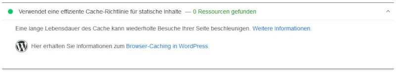 PageSpeed verbessern - durch diese 20 Maßnahmen optimierst du die Ladezeit! 23 Google PageSpeed Insights Browser Caching aktiviert