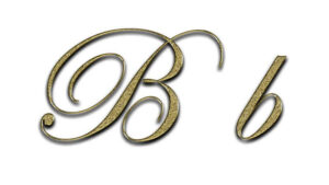 Schriftarten fuer Website