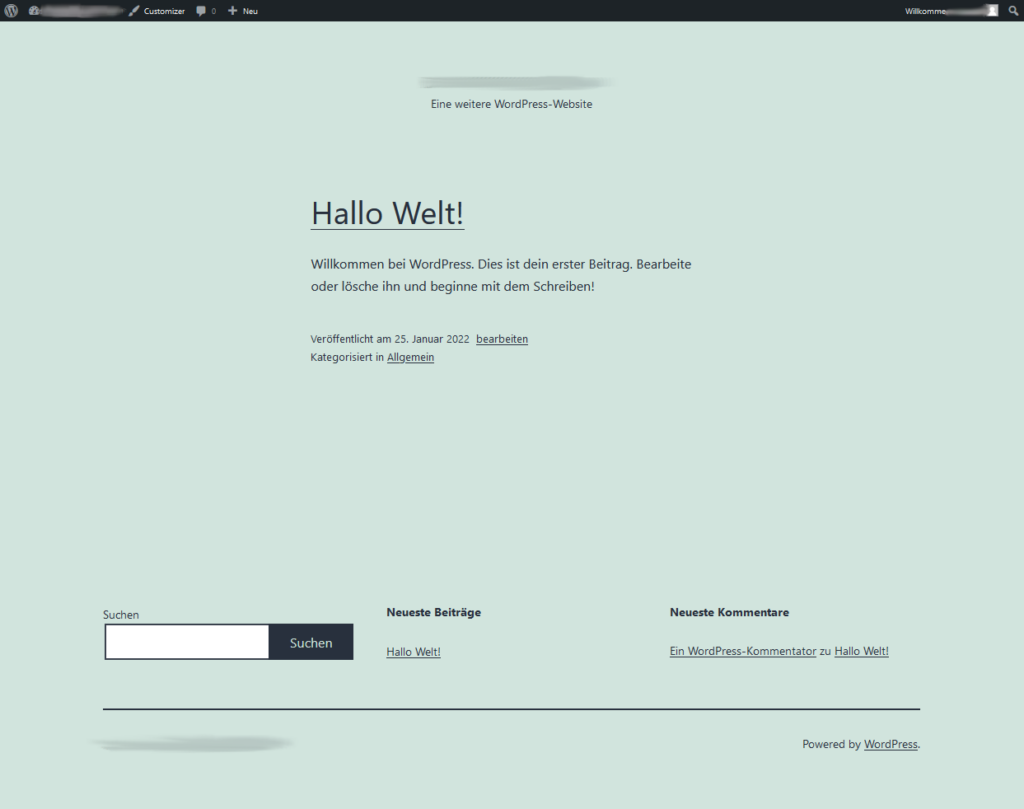 WordPress Startseite Domain